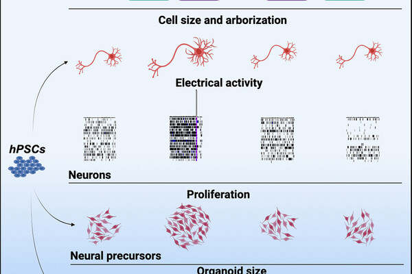 Cell Reports 2024-05-28