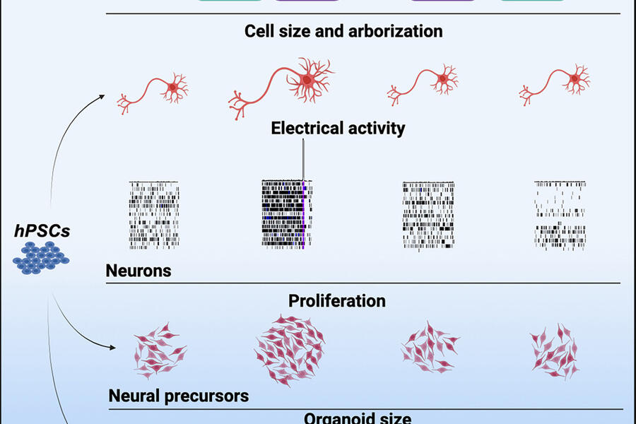 Cell Reports 2024-05-28
