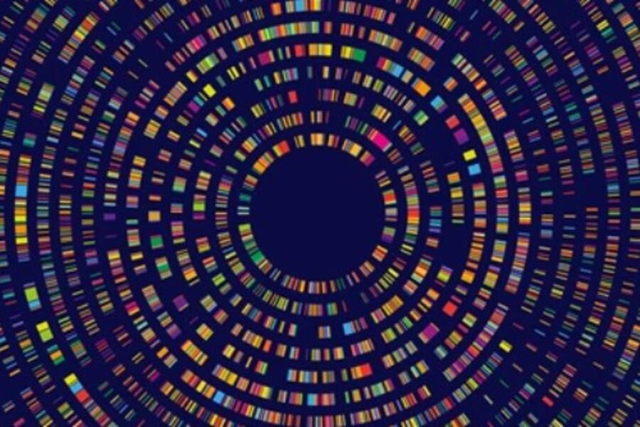 Genetic Variants May Contribute to Cerebral Palsy